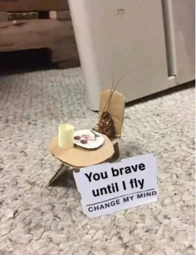 1685206464043.png