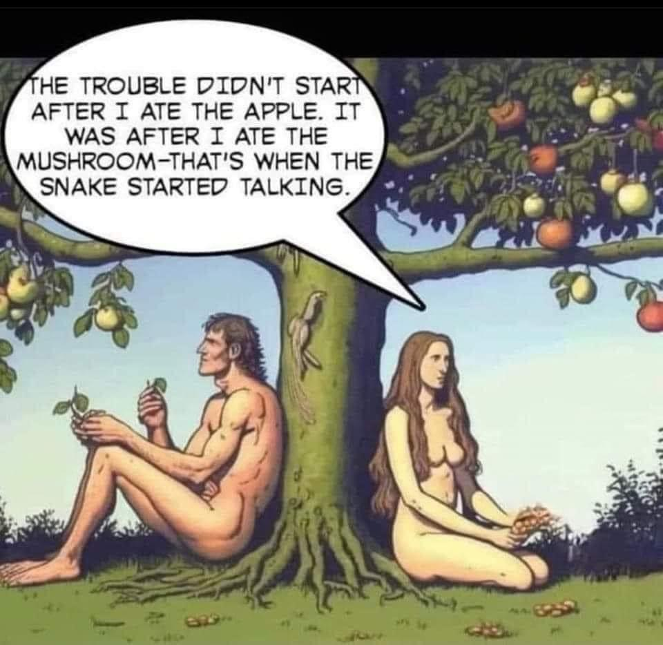 1685263564546.png