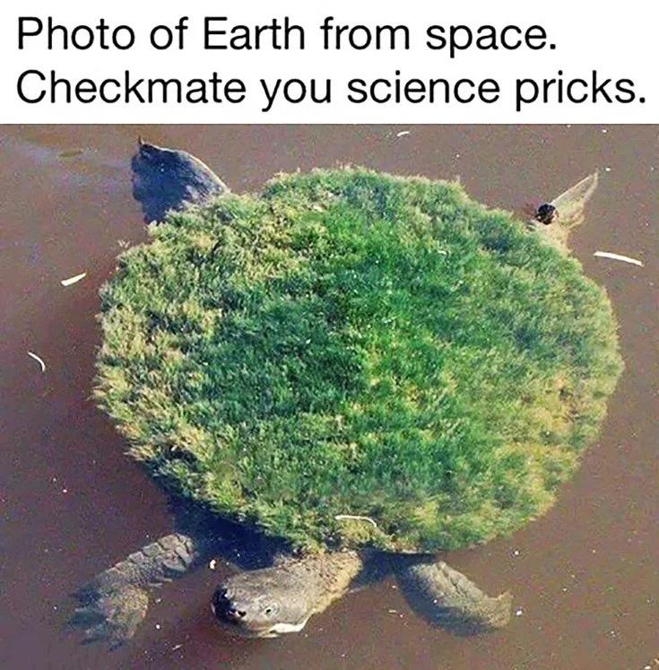 1685599973970.png