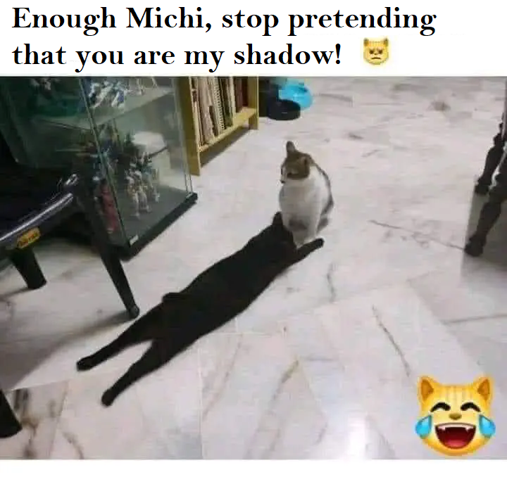 1685748895449.png