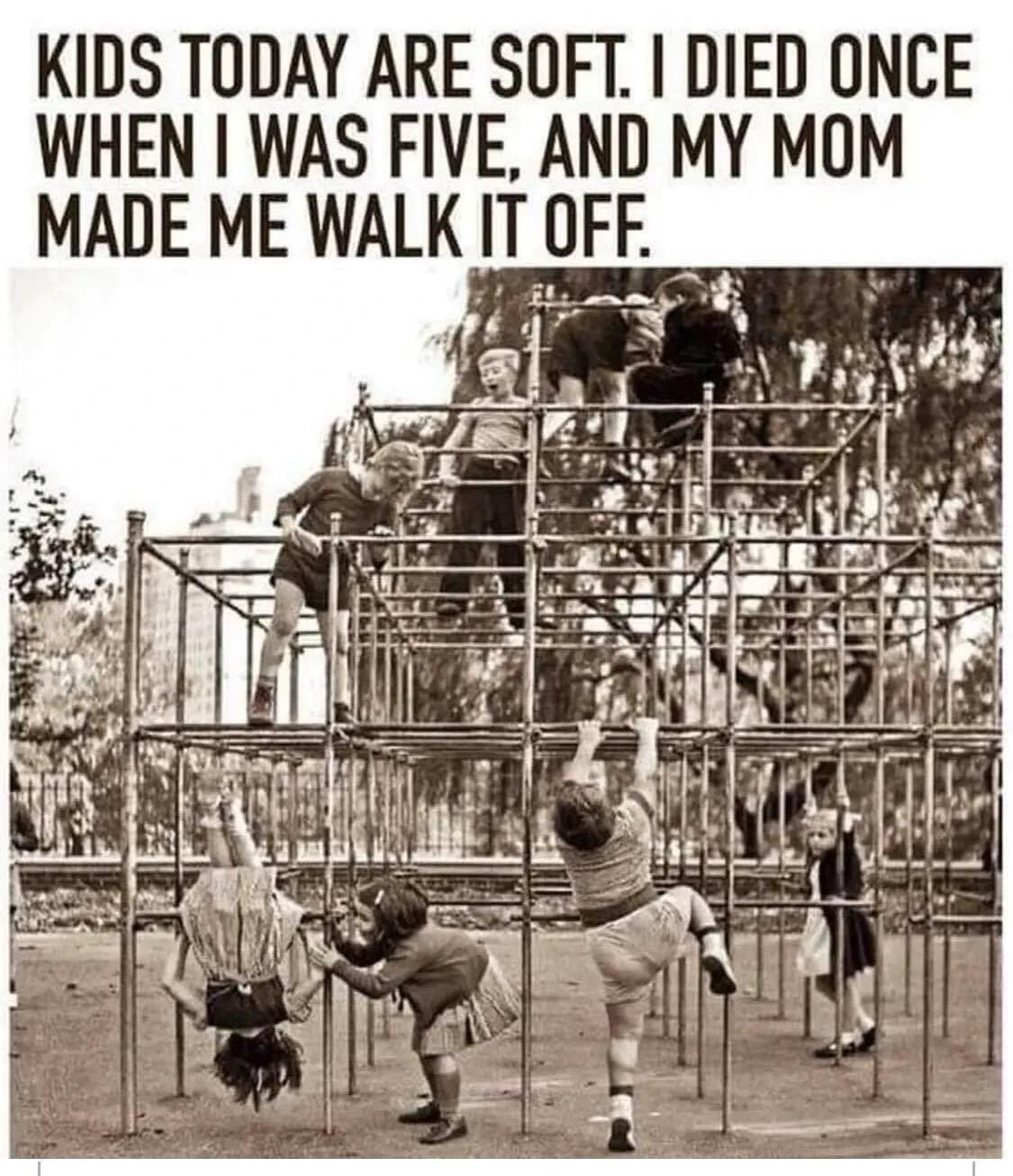 1686987452949.png