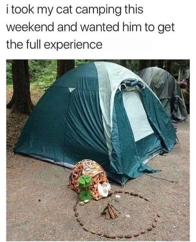 1688784248466.png