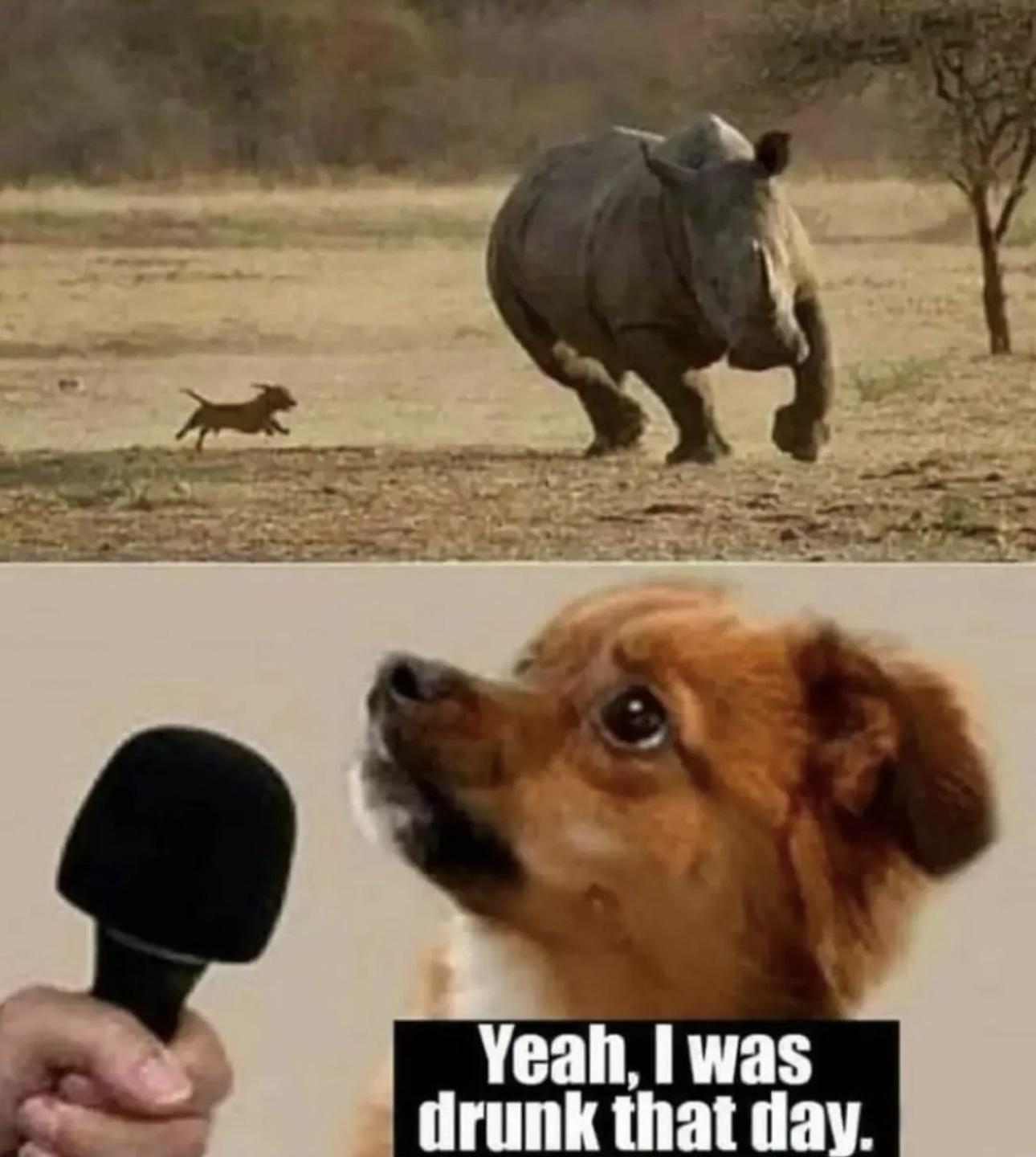 1689397168107.png