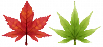 1689436256302.png