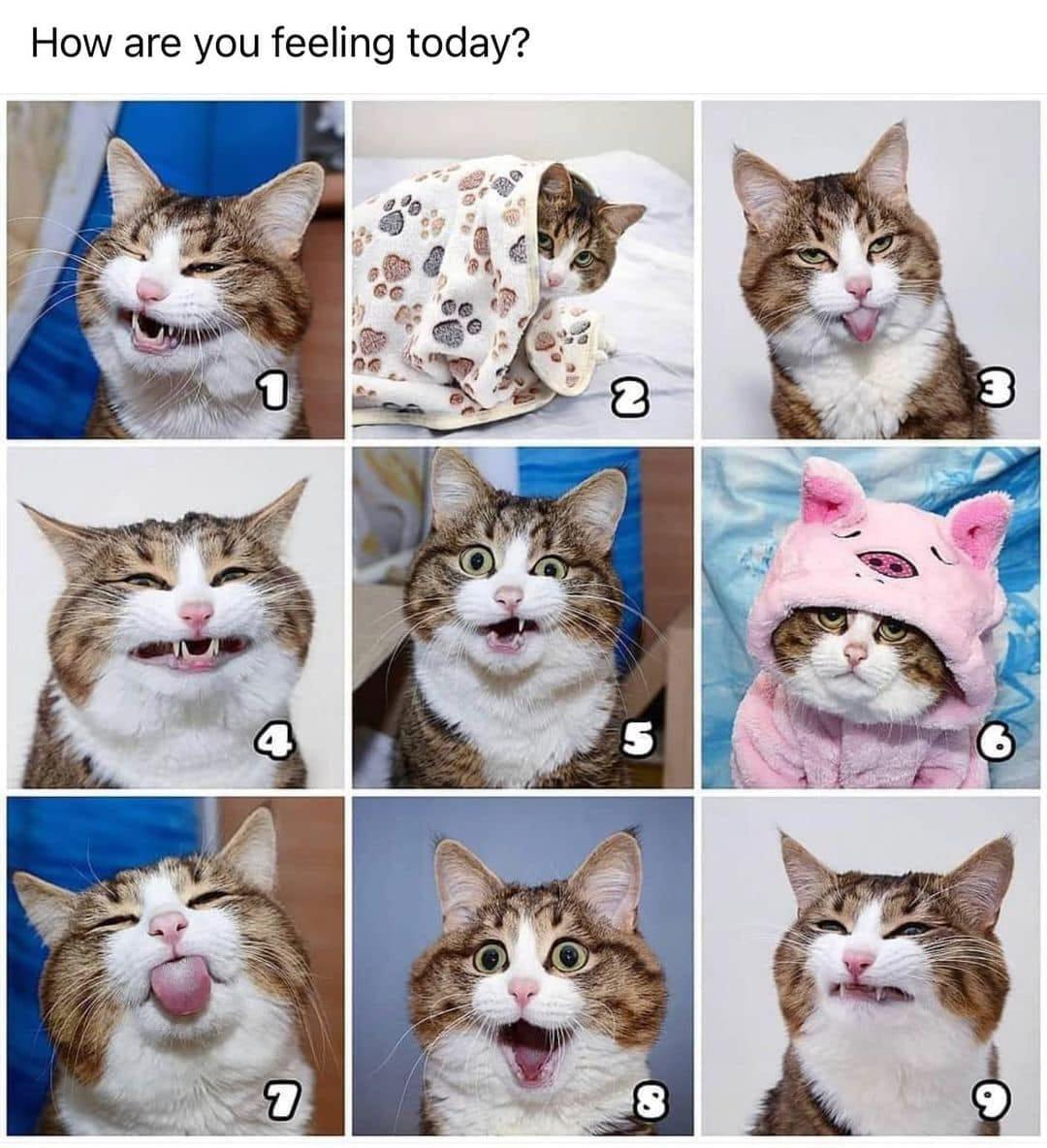 1689488111585.png