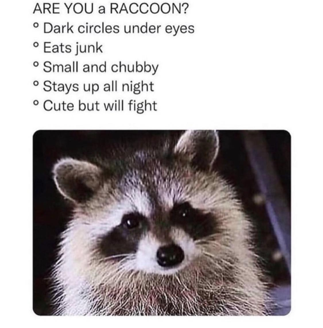1690234925614.png