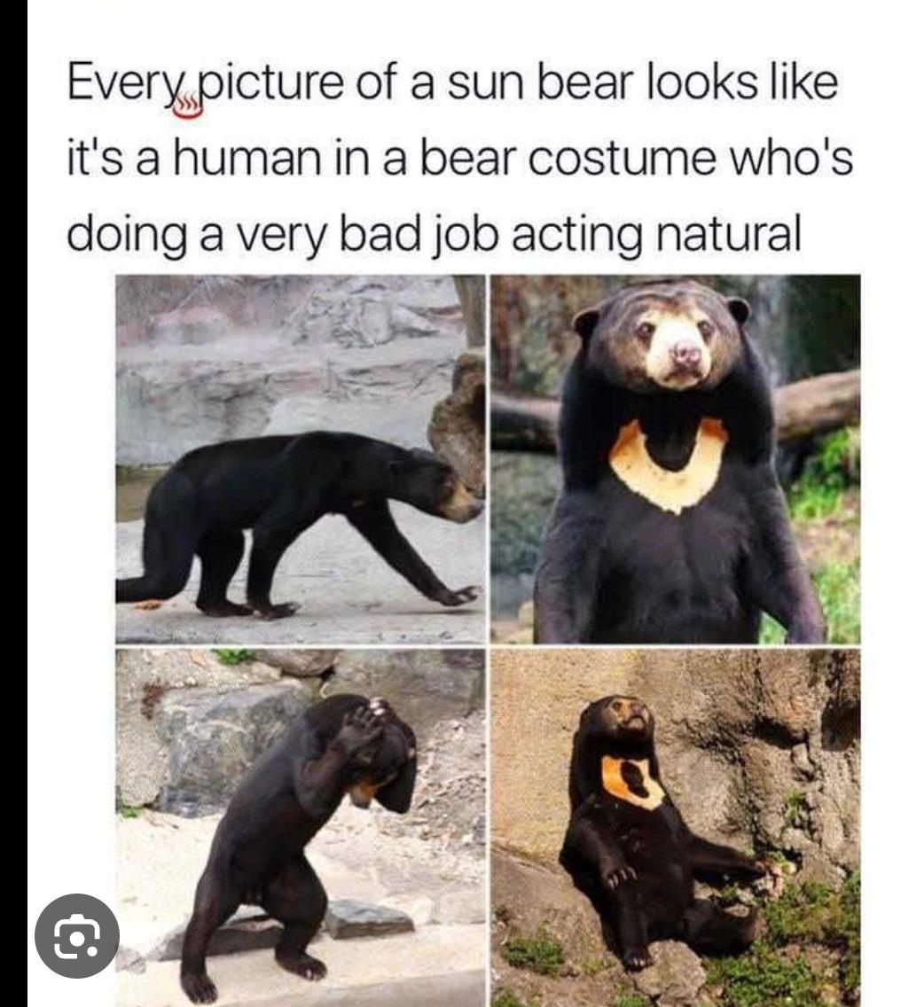 1690832840184.png