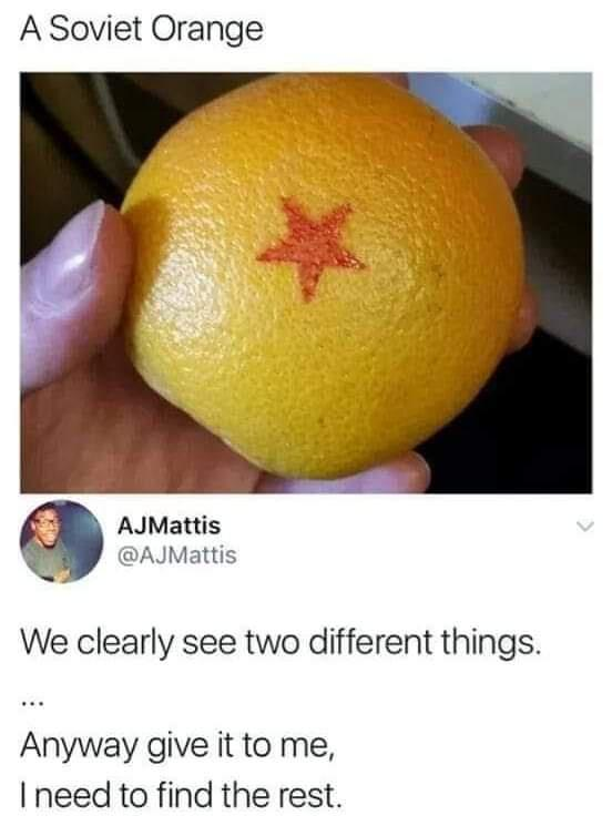 1691225569618.png