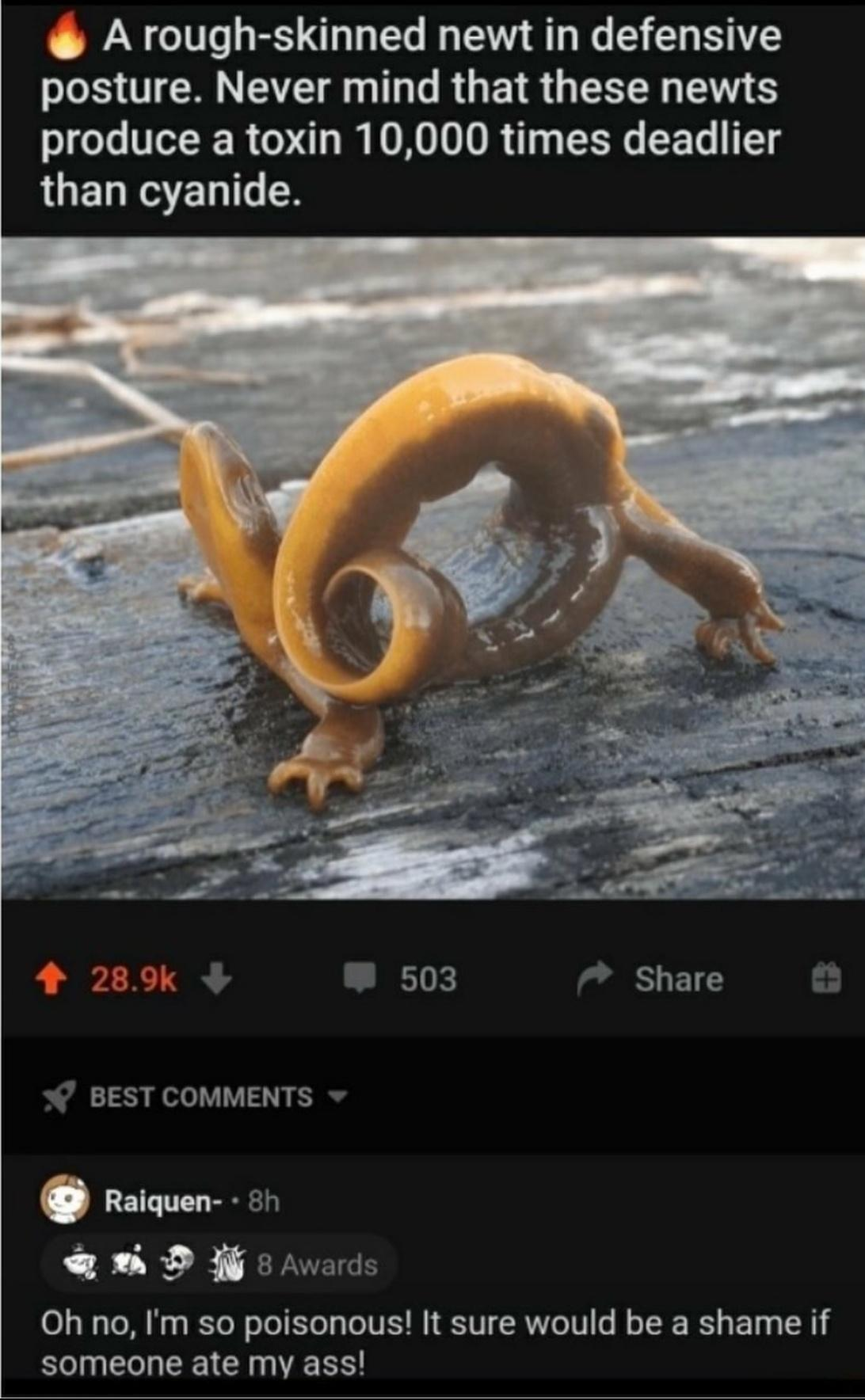 1691508919939.png