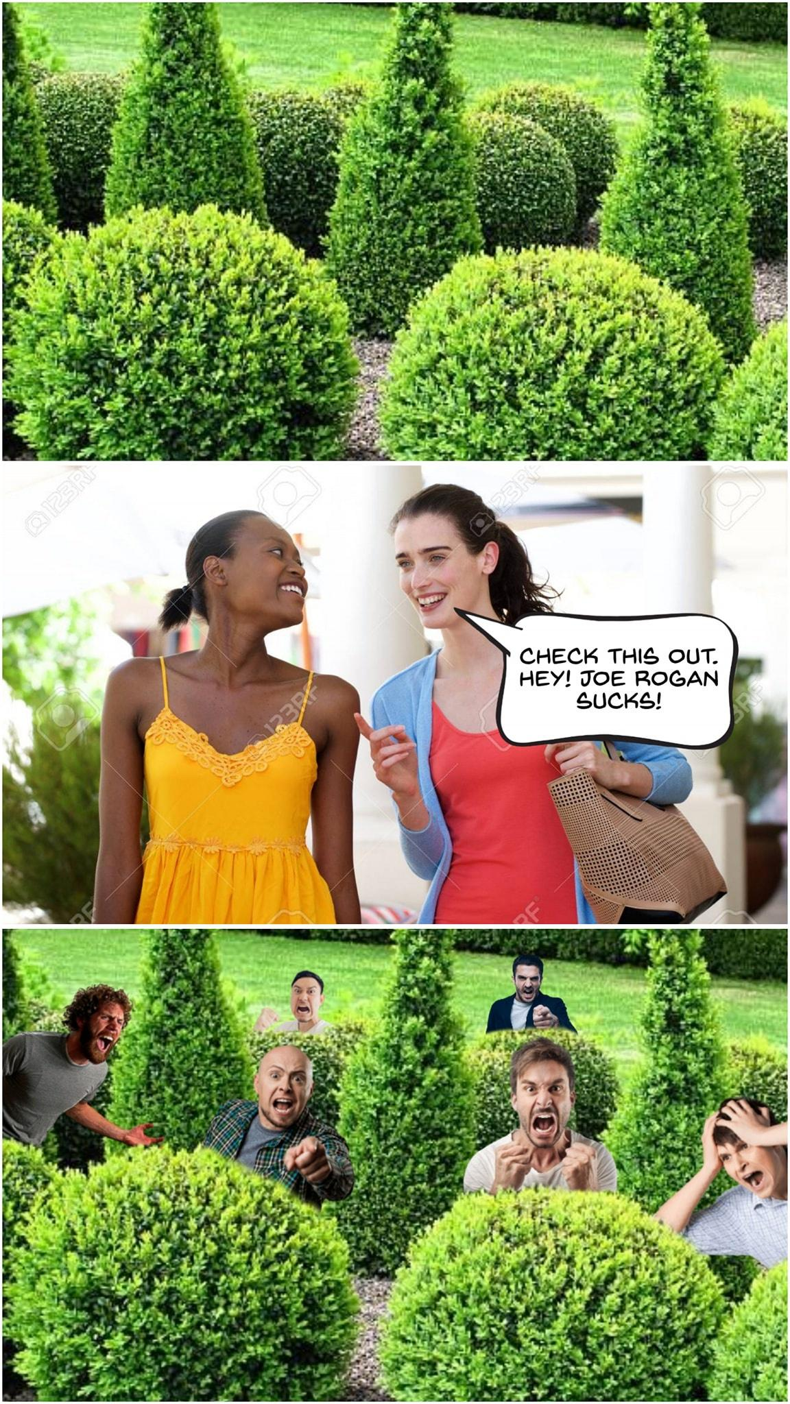 1691773217775.png