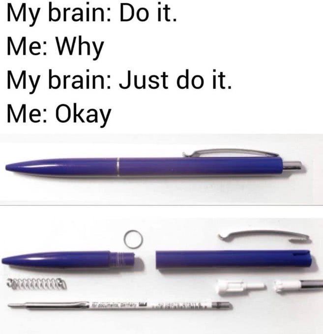 1691877531461.jpeg