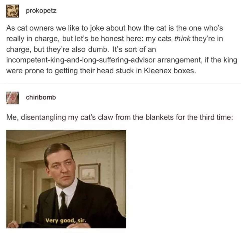 1692086393817.png