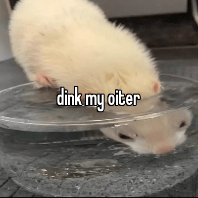1692916812988.png