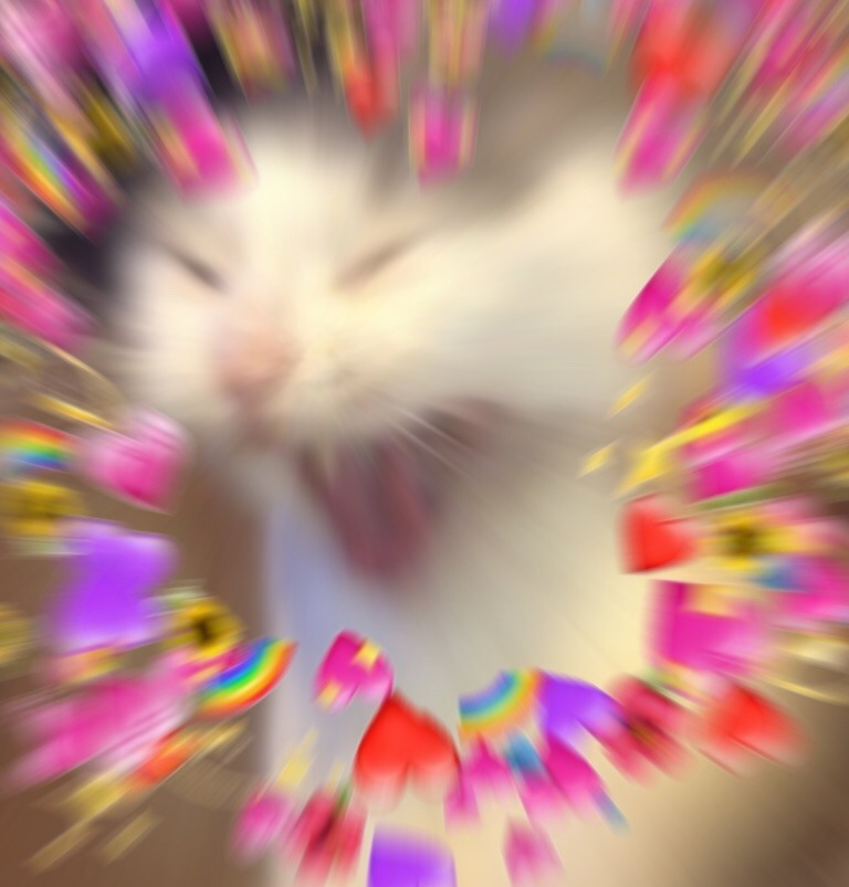 1693506661650.png