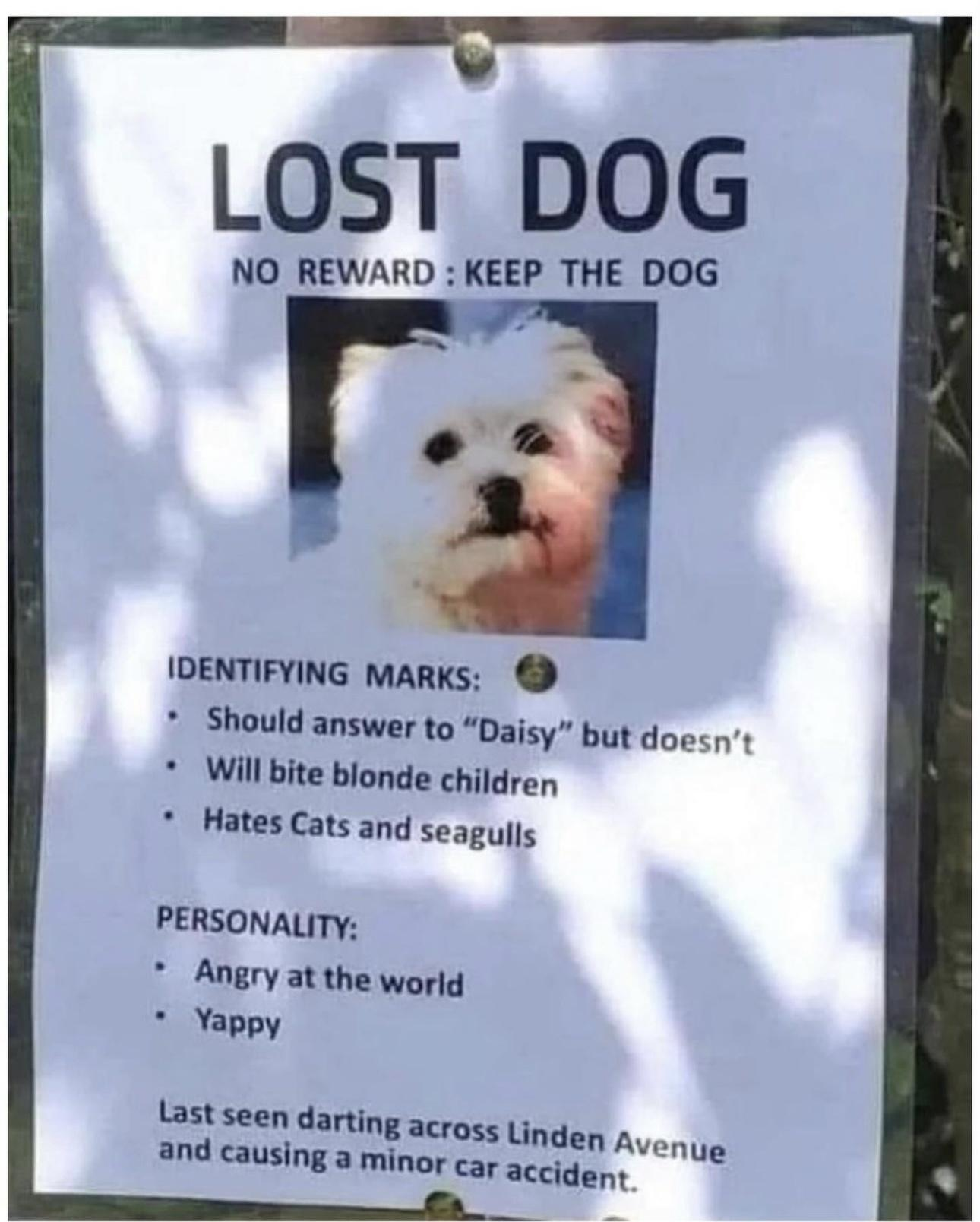 1693763004002.png