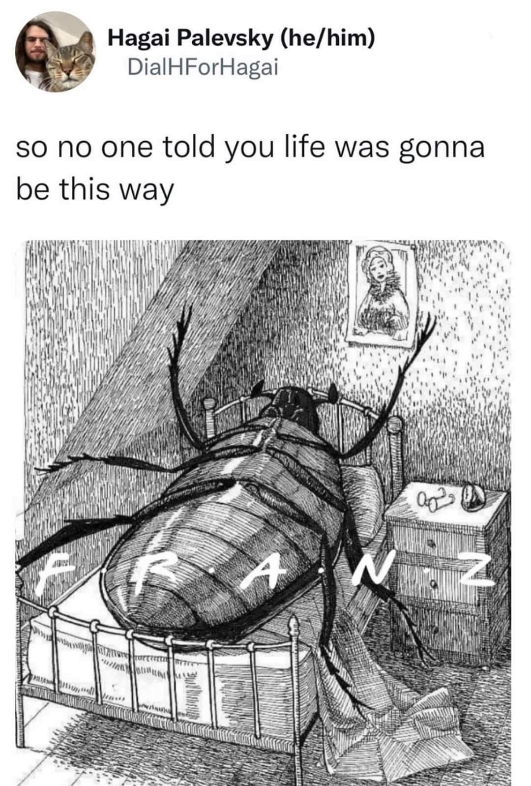 1693816302556.png