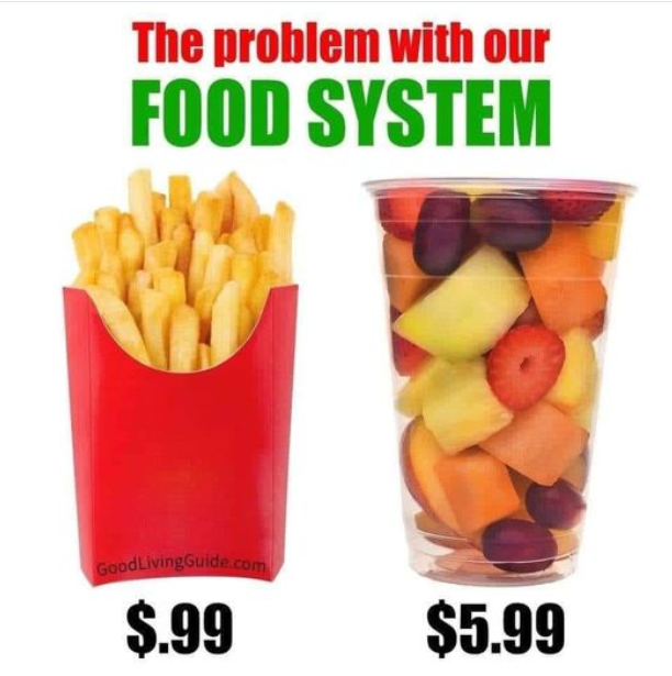1693863516985.png