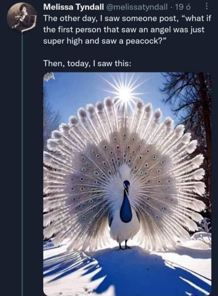 1693929176241.png