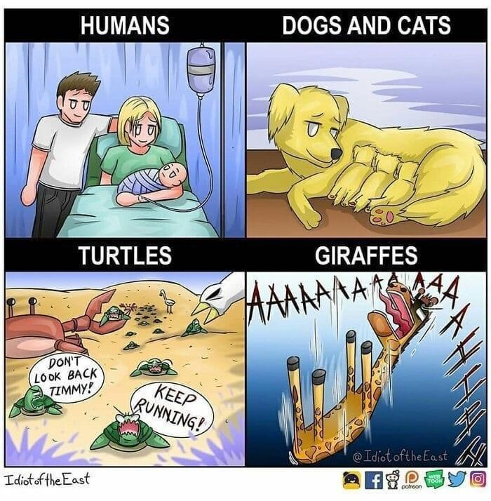 1694286015901.png