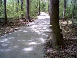1695605784645.png