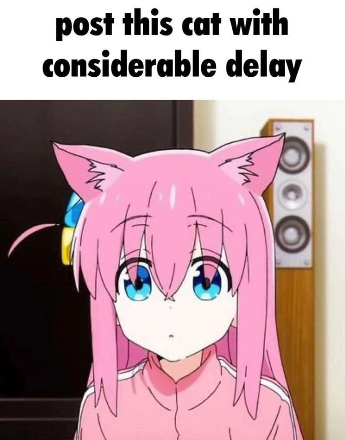 1696084617552.png