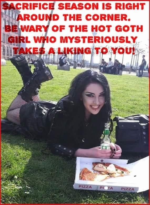 1696189079166.png