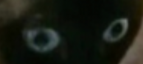 1696453625061.png