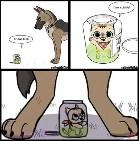 1696501051714.png