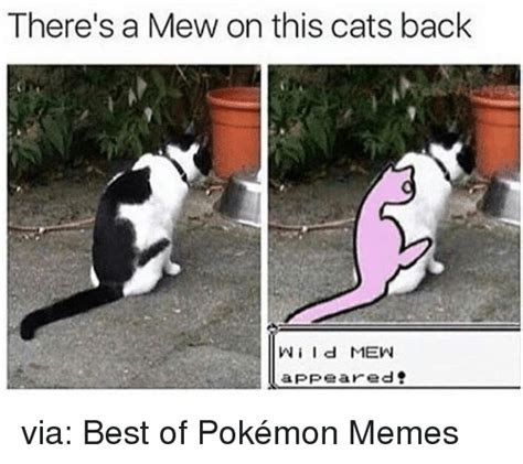 1696916263101.png