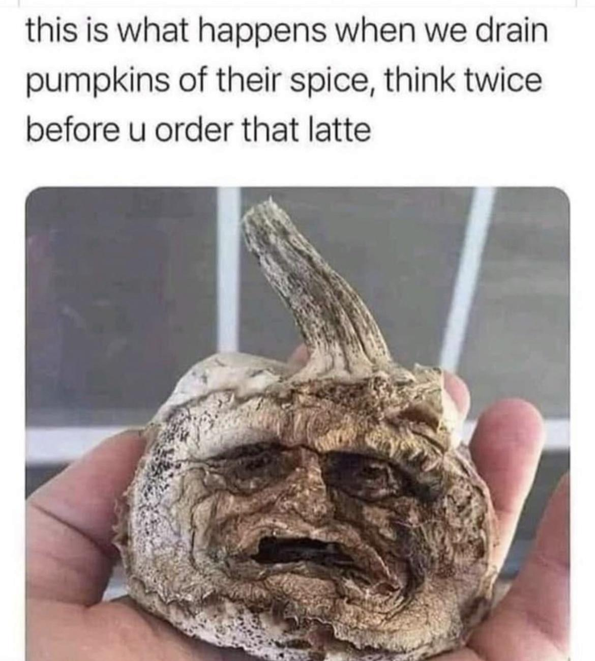 1697161403353.png