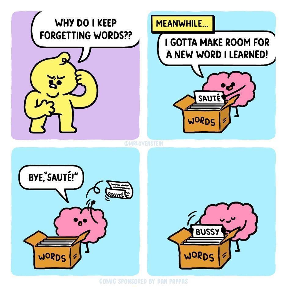 1697226583390.png