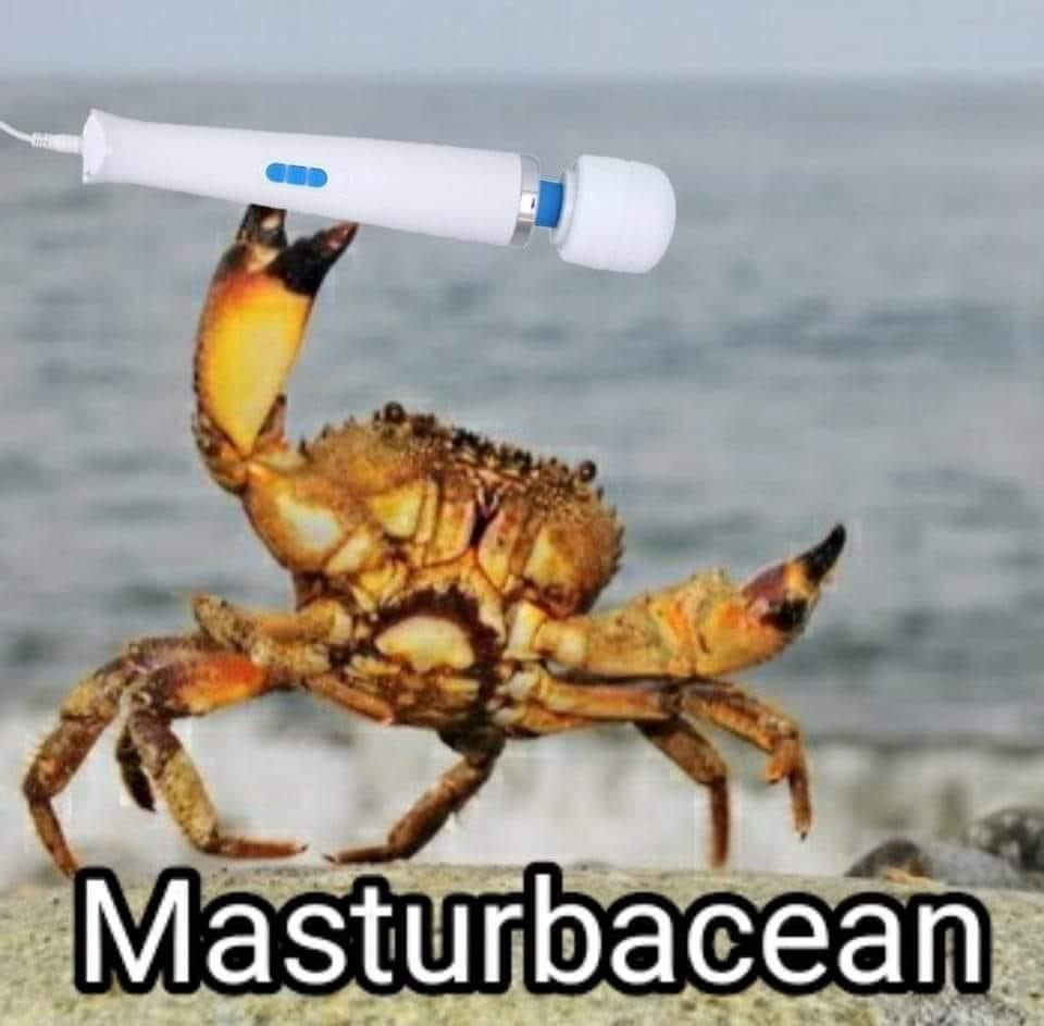 1697371331456.png