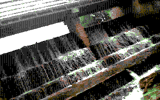1697408320380.png