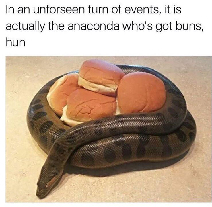 1697977834729.png