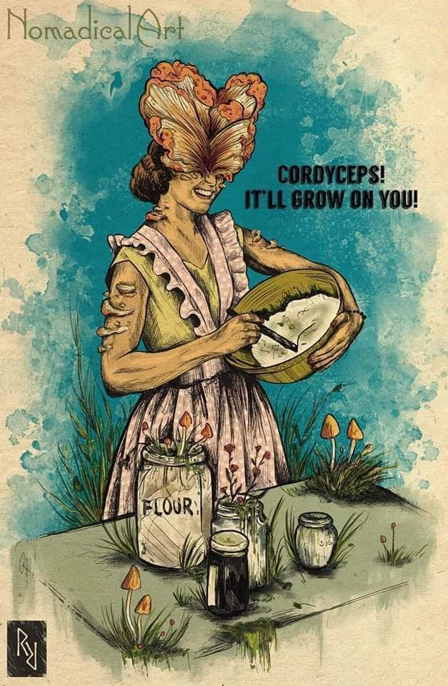 1698196774366.png