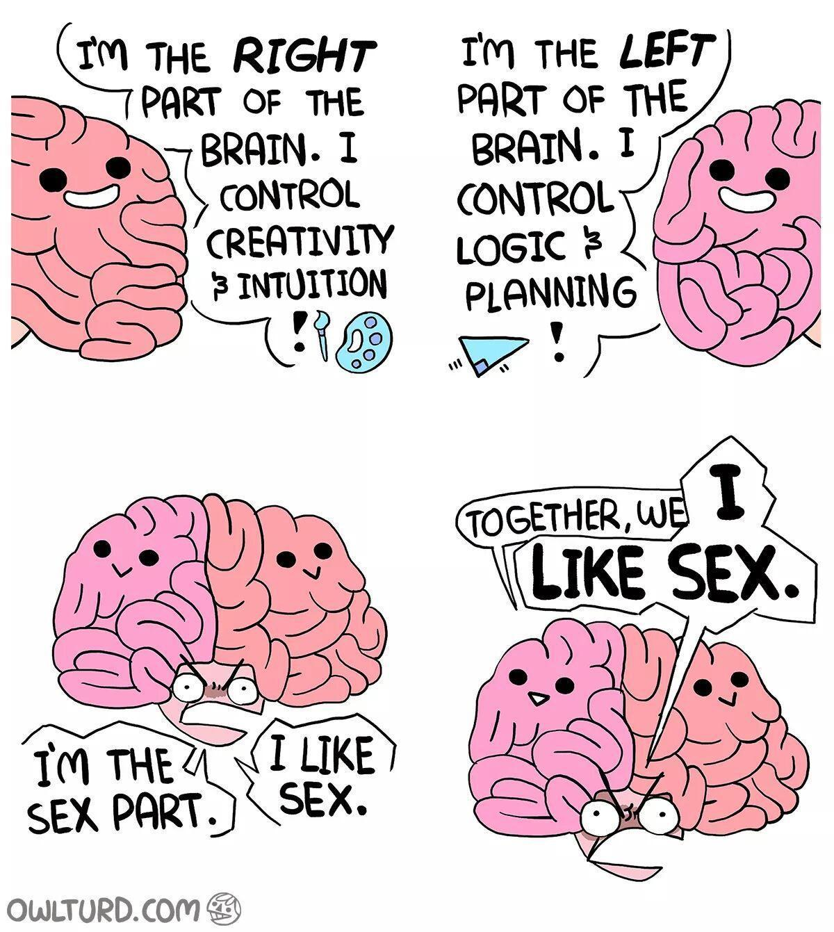 1698349318405.png