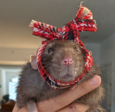 1698380140218.png