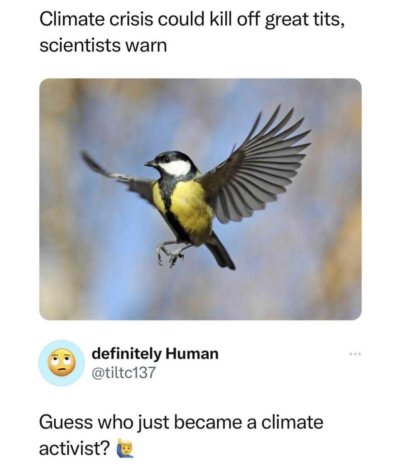 1698382851573.png