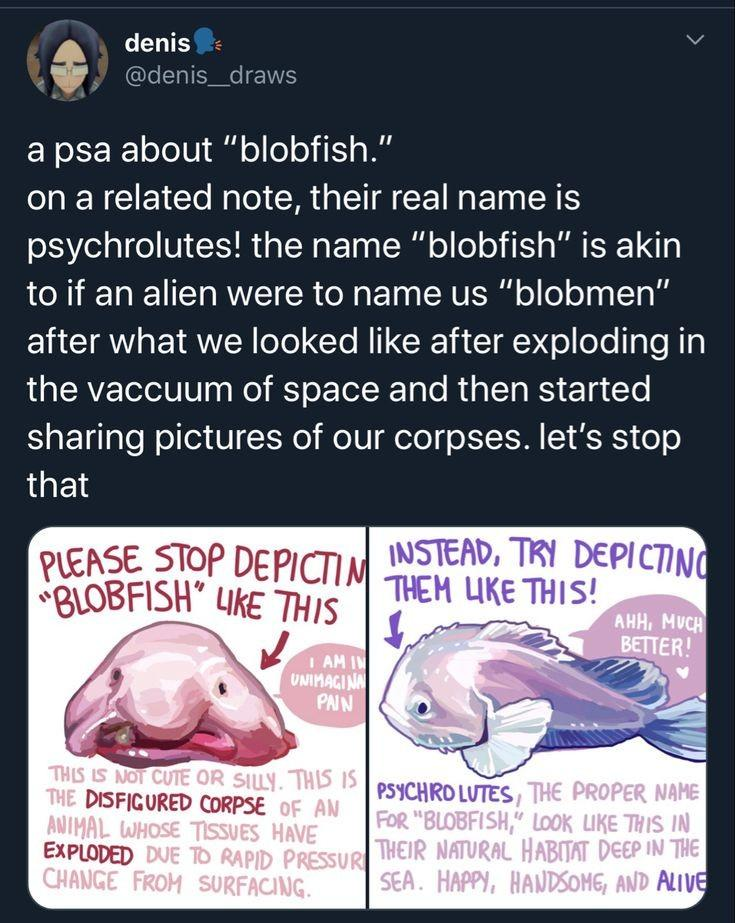 1698423454529.png