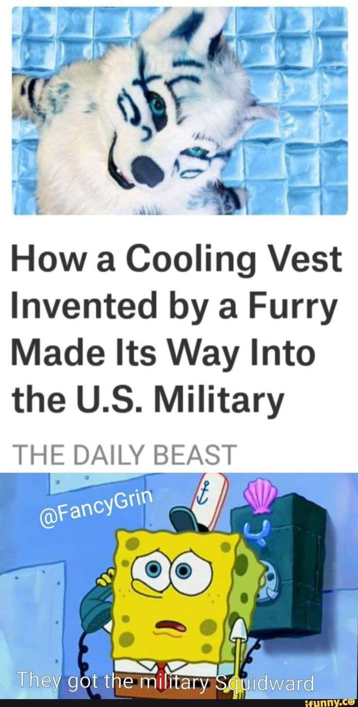 1698771296064.png