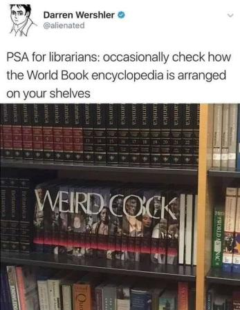 1699094059511.png