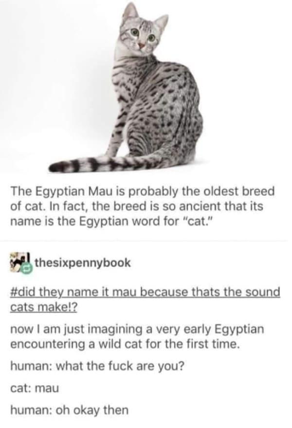 1699473219354.png