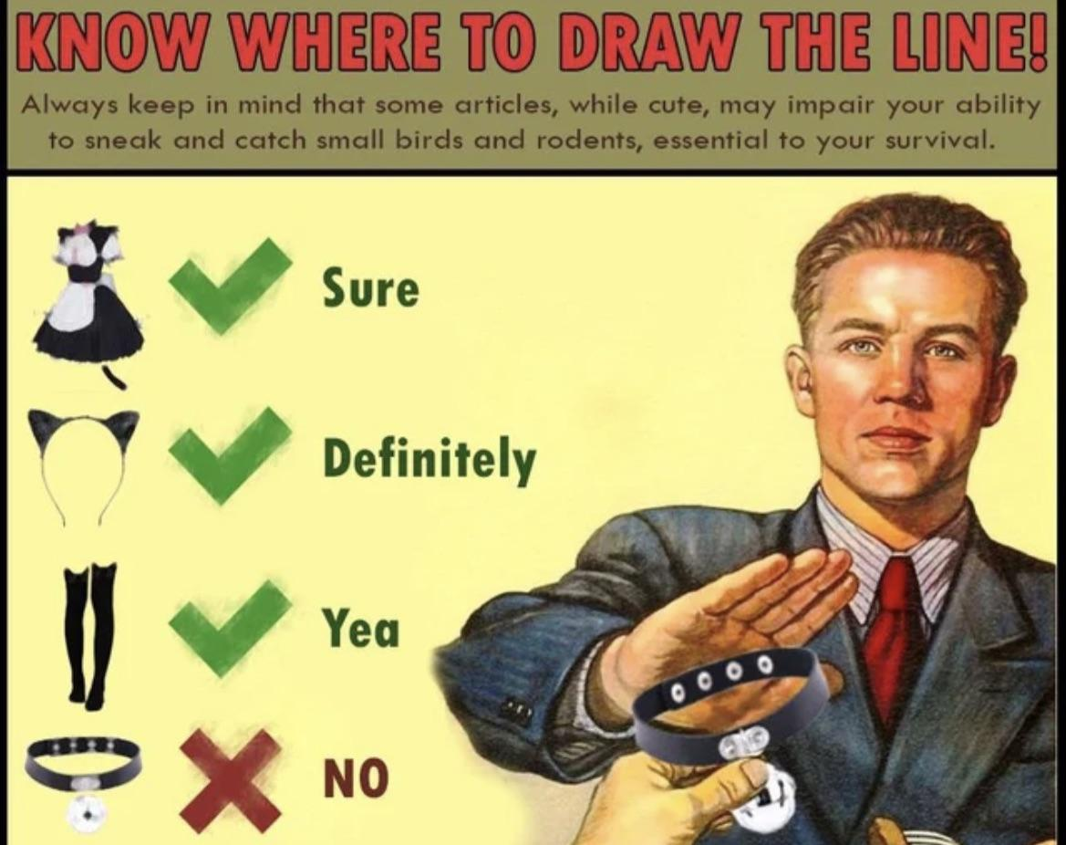 1699476595625.png