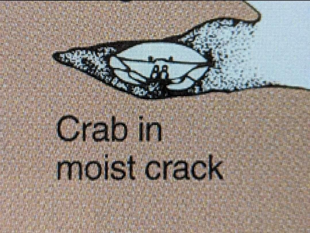 1699885472353.png