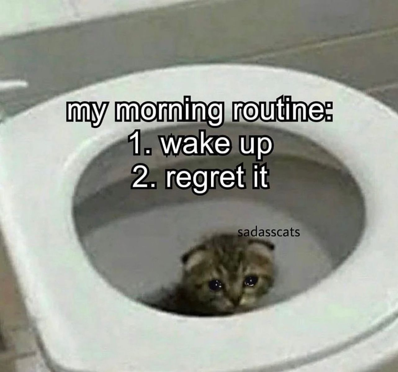 1699925207482.png