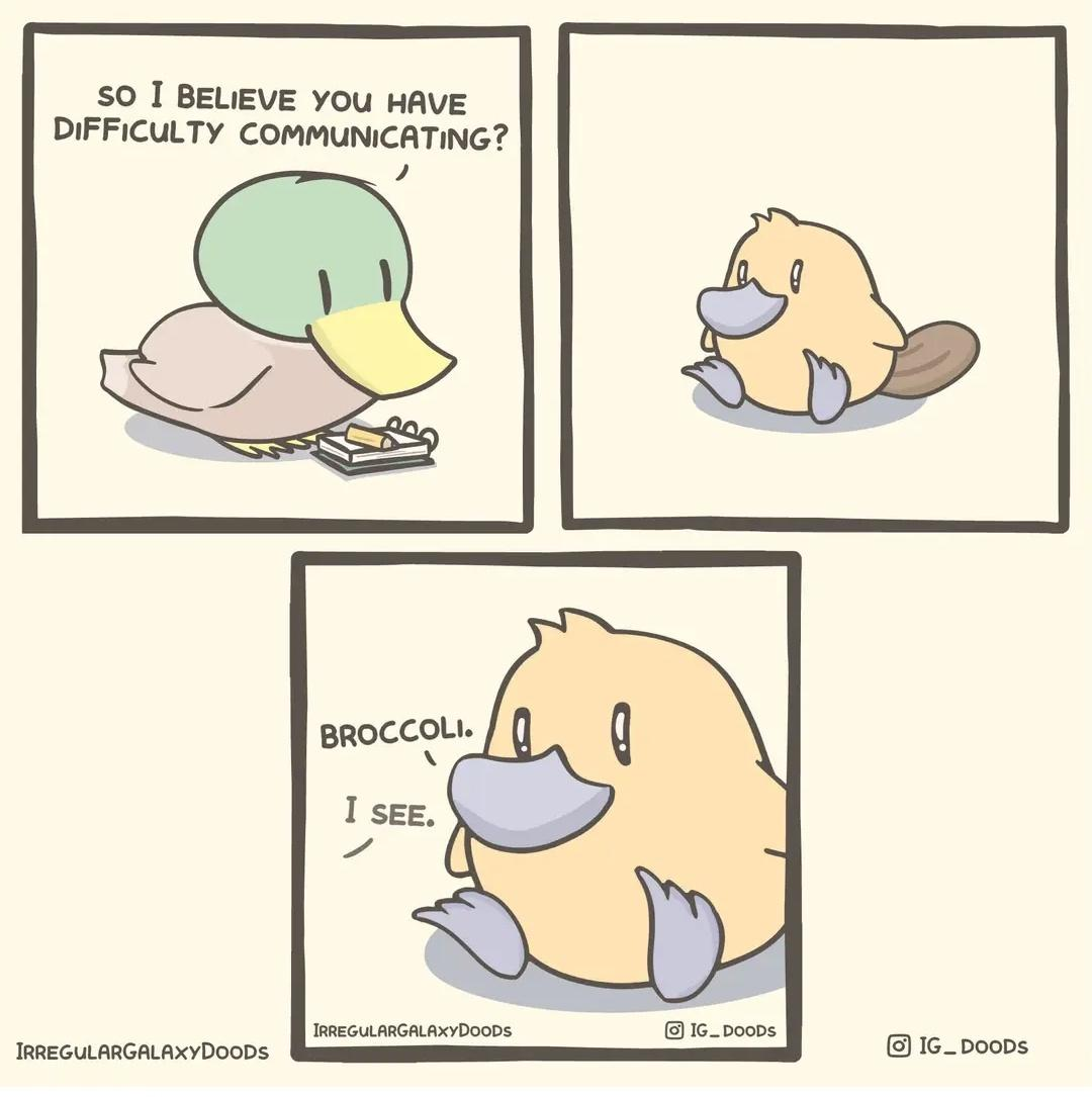 1700117482784.png