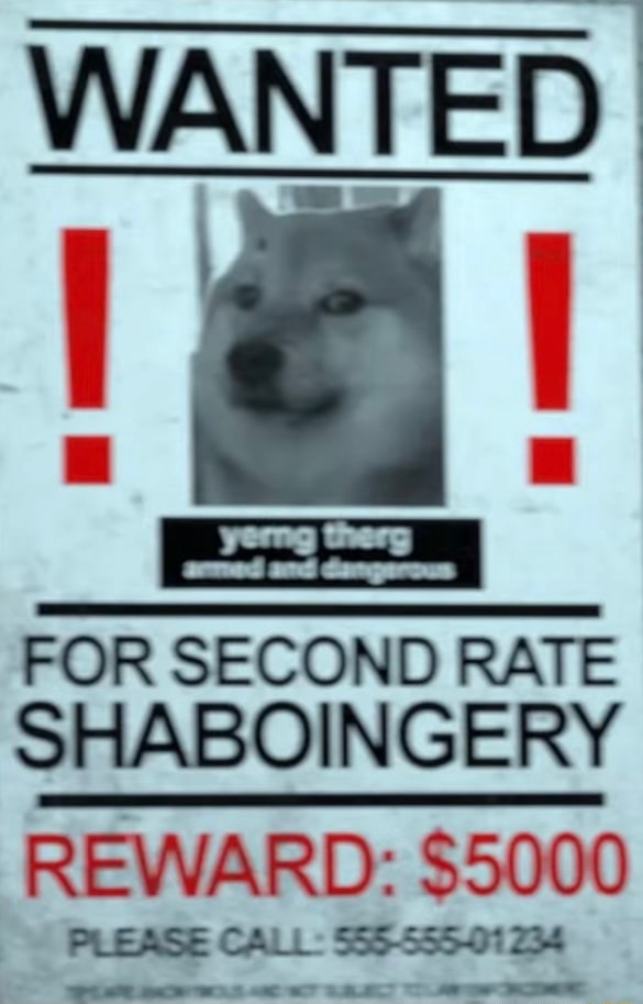 1700666313772.jpeg