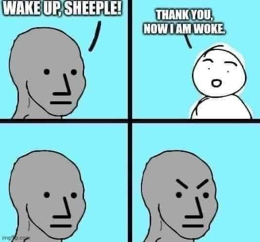 1700856885080.png