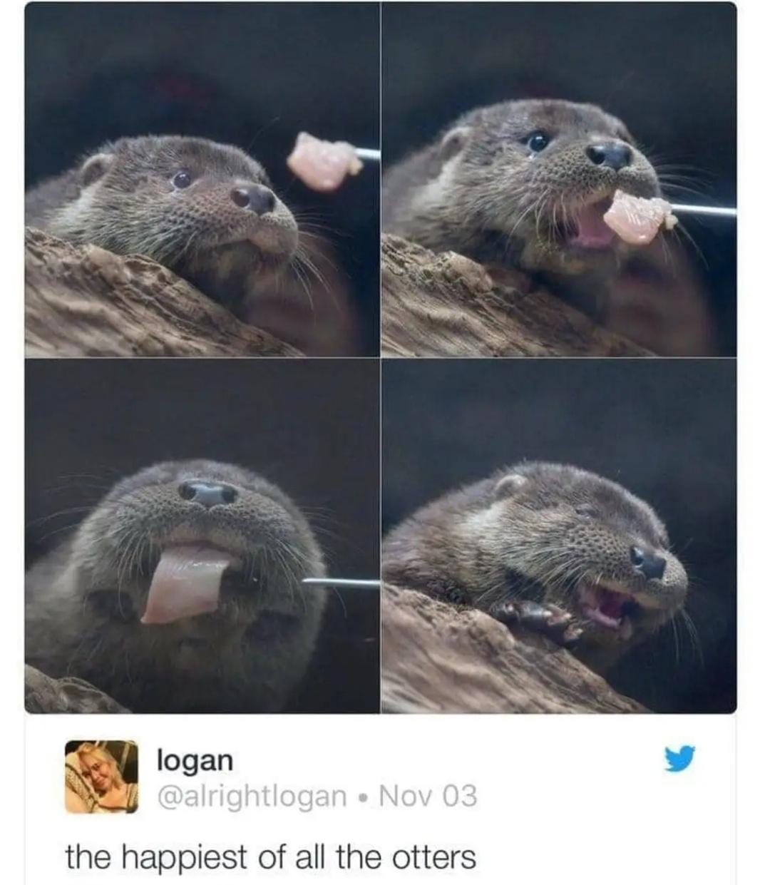 1701788619464.png