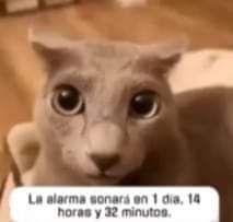 1702441038624.jpeg